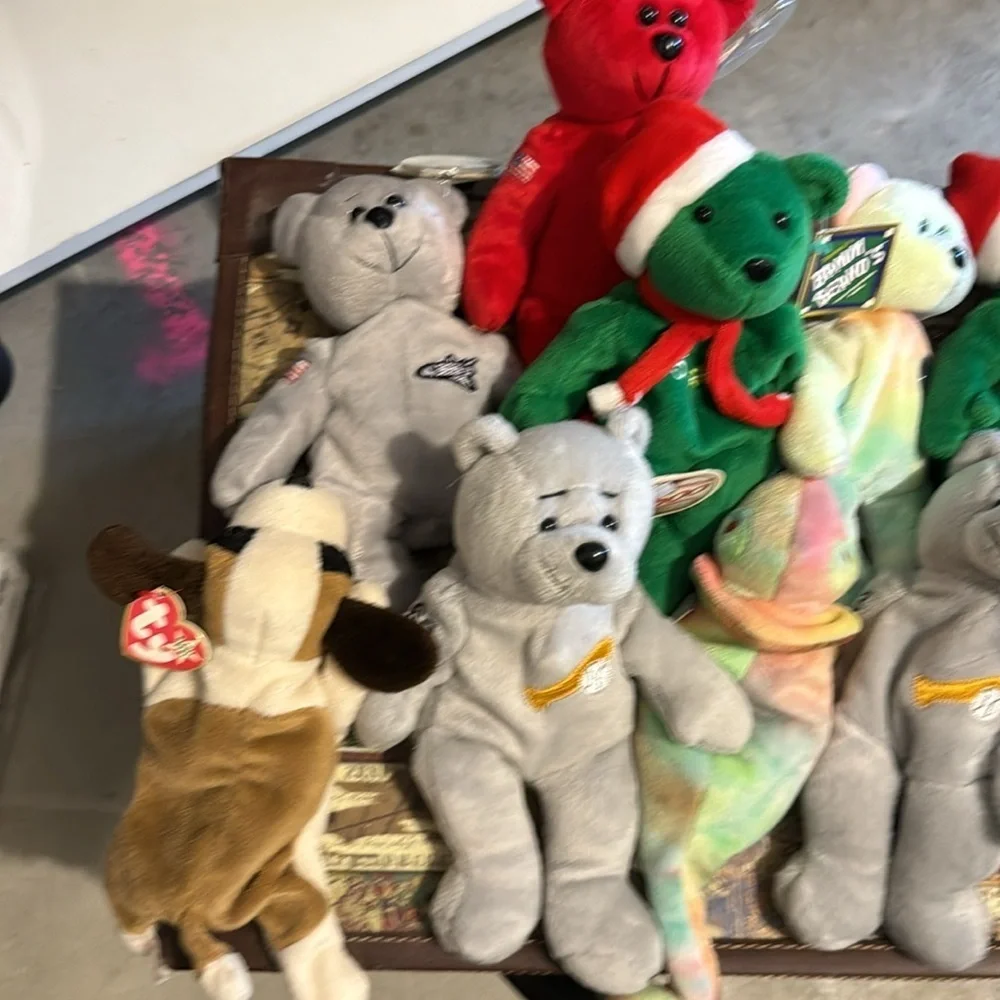 Beanie babies 13 and all